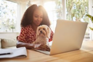 Woman Working On Laptop With Dog In Her Lap