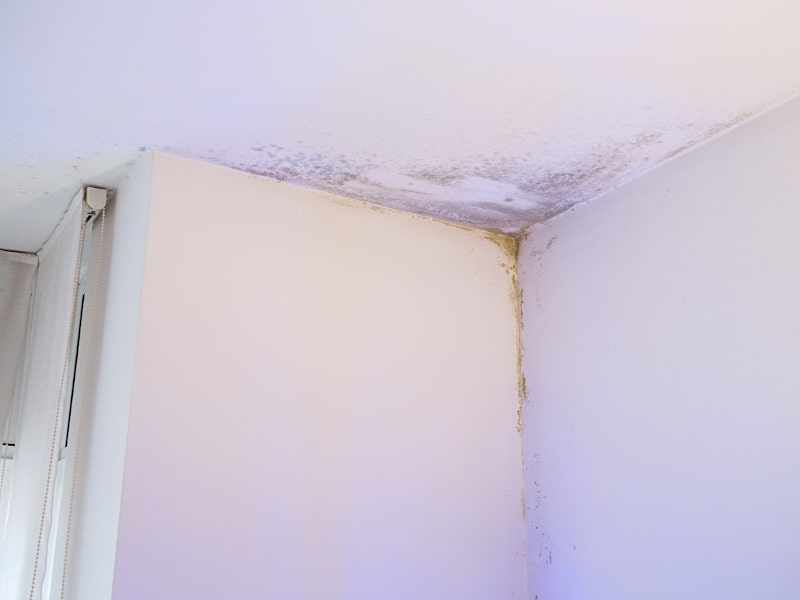 3 Ways to Determine If You Have a Water Leak